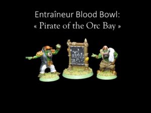 Pack Entraineurs, Blood Bowl: Orcs pirates