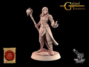 Mage Elfe
