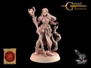 Druide Elfe