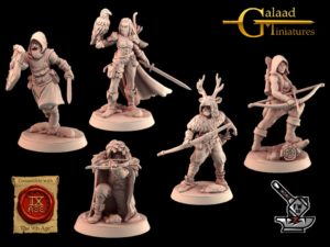 5 éclaireurs