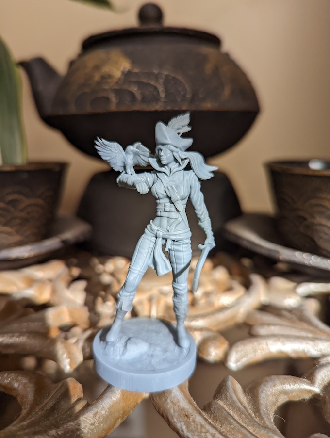 ROBIN – Image 2
