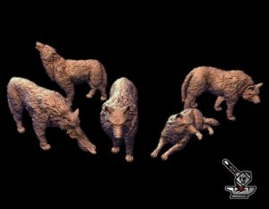 5 loups