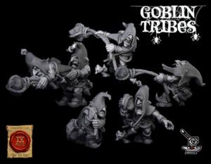 5 Fanatiques Gobelins