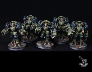THE RUNDSÄARD: 5 Ogryns