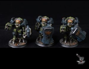 THE RUNDSÄARD: 5 Bullgryns avec armes de tir et boucliers