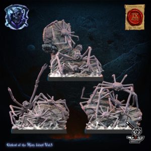 3 nuées d'araignées crabes de mer