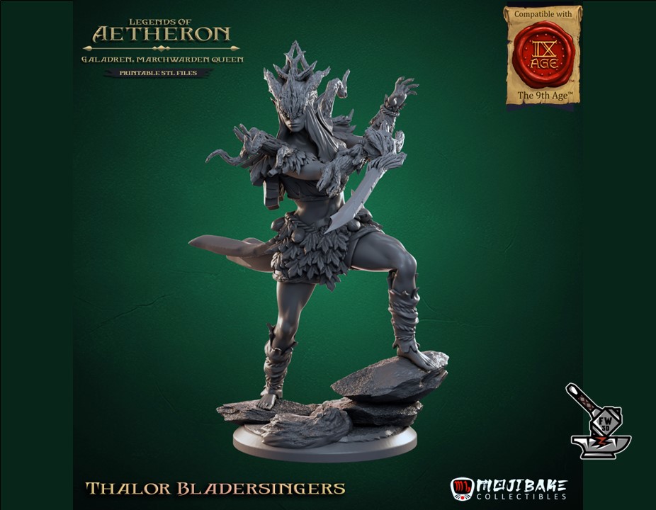 5 Chanteurs de Lames de Thalor avec socles décorés - Image 6