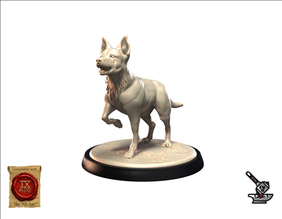 Autralian kelpie