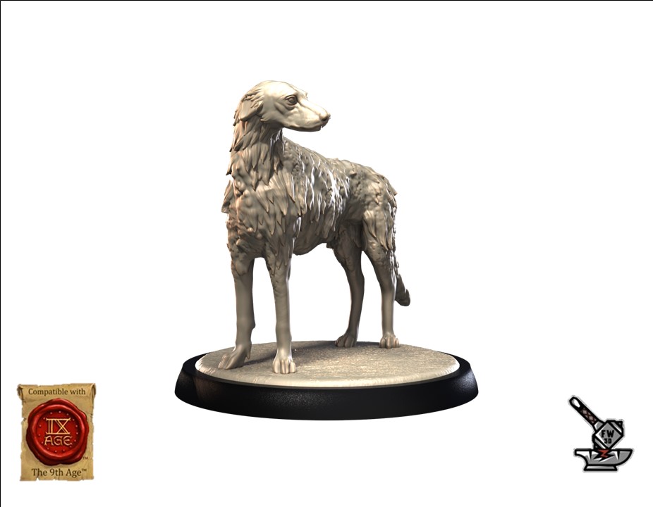 Borzoi