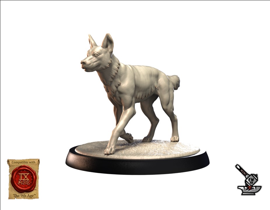 Dingo