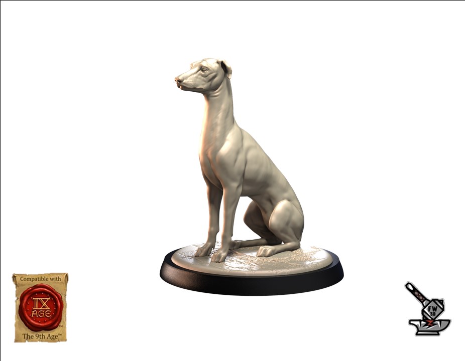 Lévrier (Greyhound)