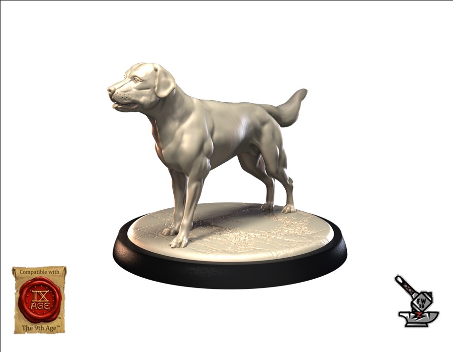 Labrador