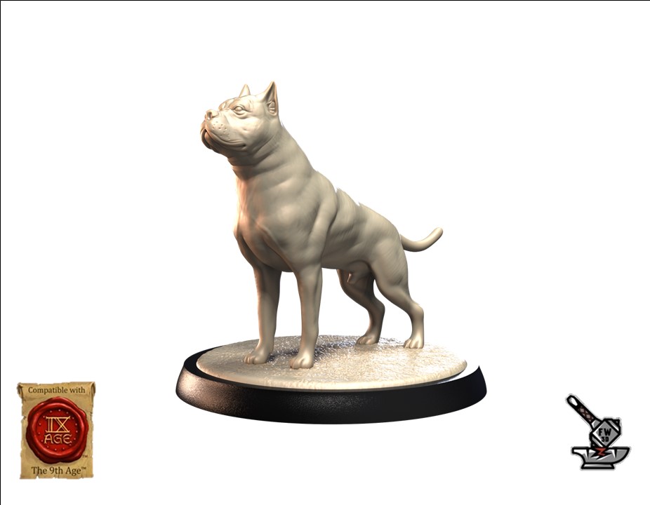 Pit Bull