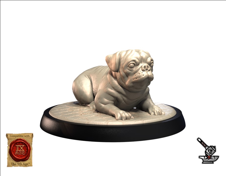 Pug