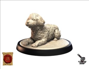 Spanish Water Dog