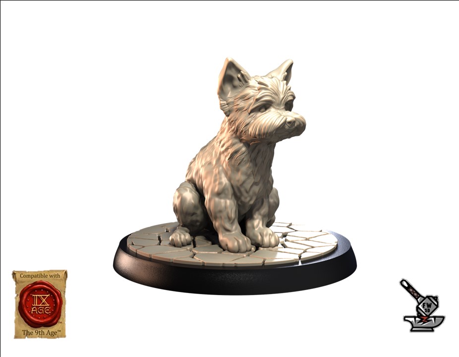 Yorkshire Terrier